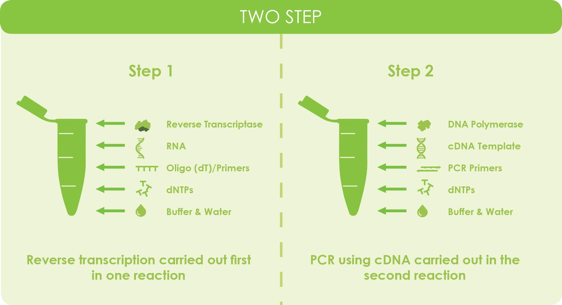 [DIAGRAM] Diagram Showing Steps Of Pcr